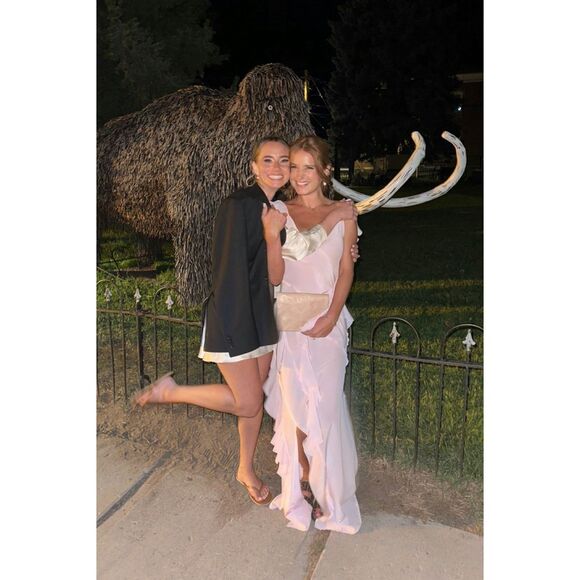 Victoria Beckham $2390 Asymmetric Bias Frill Ruffle Silk Dress Pink Size 2 - Picture 3 of 11